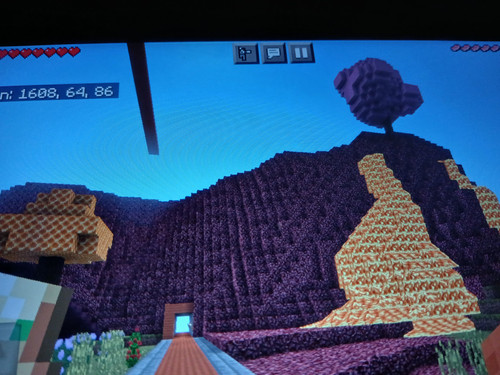 1000011941