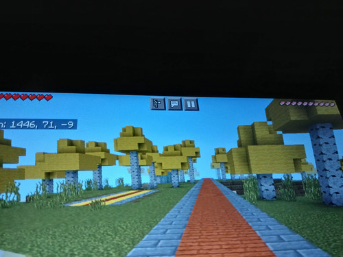 1000011943