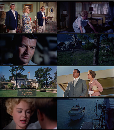 A.Summer.Place.1959.German.AC3D.1080p.BluRay.REMUX.AVC bobbel.mkv.jpg
