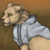 Hoodie Item Image.png