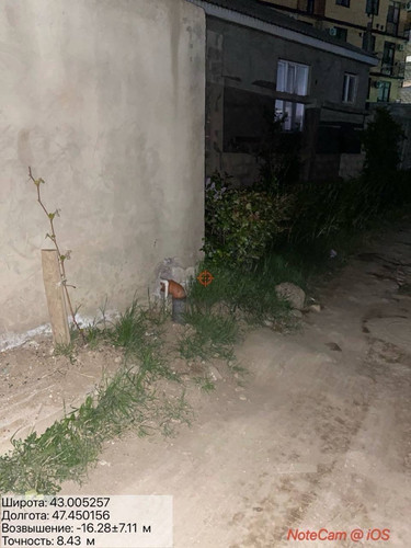 IMG 20260419 060002 16.jpg