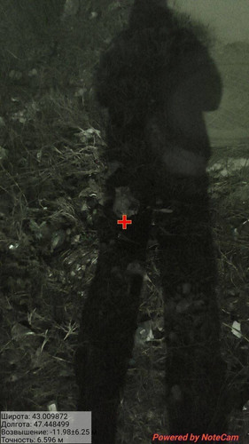 IMG 20260419 060002 17.jpg