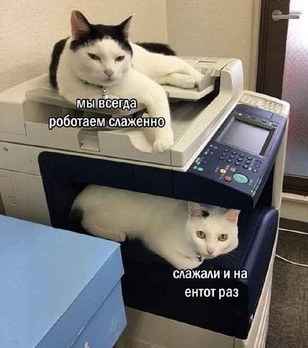 ea708af0ee9800b1ea05eb81c5e9c2dc.png