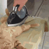 87983402c9043d7dd7c1b8c5e167d008.gif