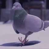 3.gif