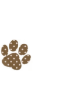 IMG 20260414 000734.png