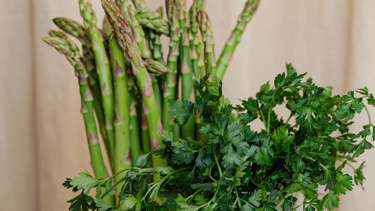 resep masak aneka sayuran hijau untuk diet