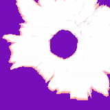 output onlinegiftools (4).gif