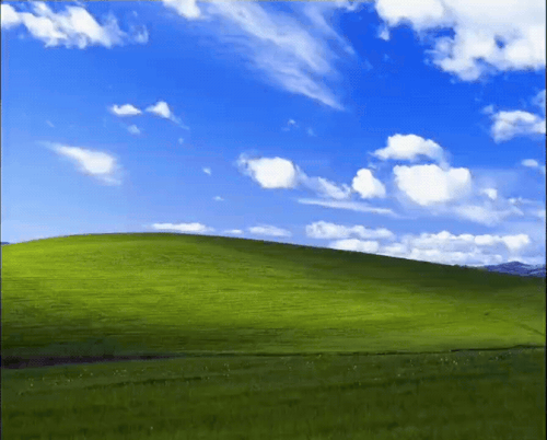 mmexport1776590546040.gif