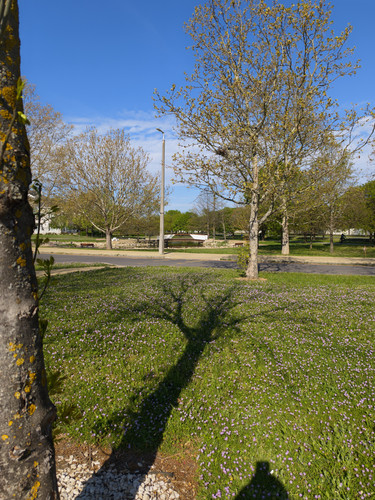 toto📷20260419 091810391