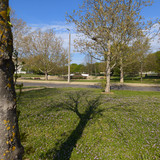 toto📷20260419 091810391