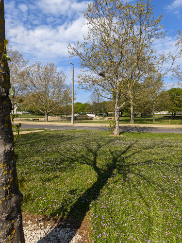 toto📷20260419 095836505