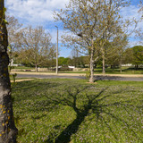 toto📷20260419 095836505