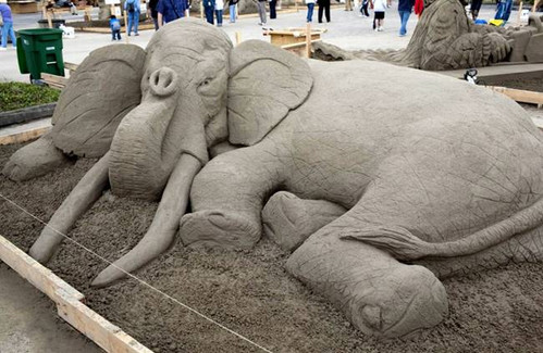 e85e8ffa 4465 43fc b6fd 426602a1f6f1.jpg