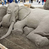 e85e8ffa 4465 43fc b6fd 426602a1f6f1