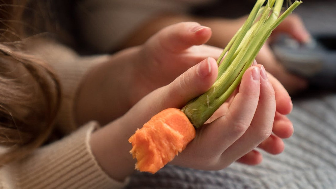 resep camilan sehat untuk anak susah makan nutrisi tinggi 2026