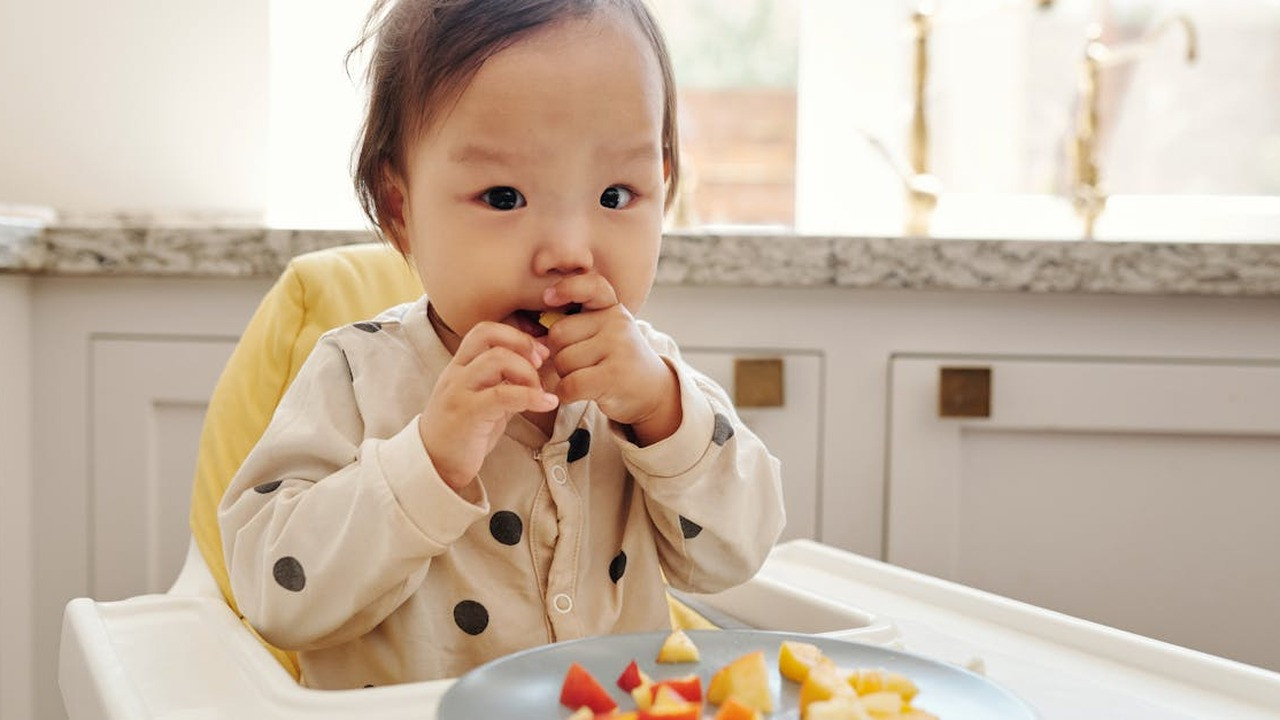 resep camilan sehat untuk anak 2 tahun bergizi lengkap 2026