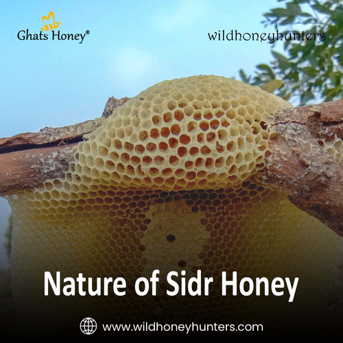 3.Nature of Sidr Honey.jpg