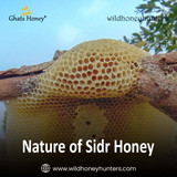 3.Nature of Sidr Honey