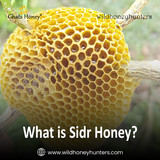1.What is Sidr Honey 