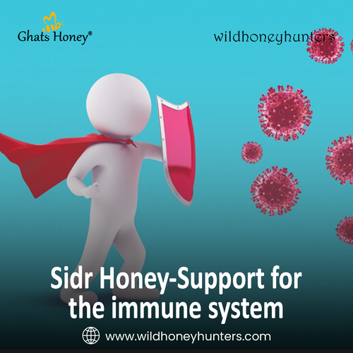 12.Sidr Honey Support for the immune system.png