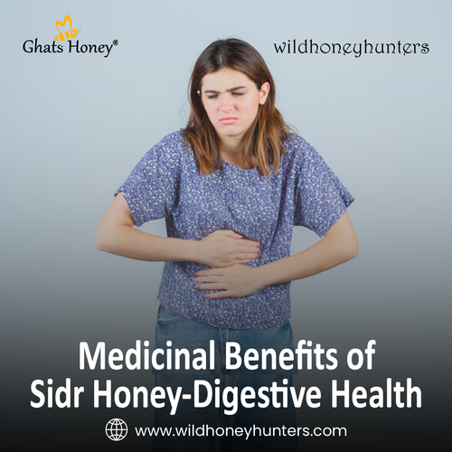 11.Medicinal Benefits of Sidr Honey Digestive Health.png