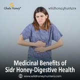 11.Medicinal Benefits of Sidr Honey Digestive Health