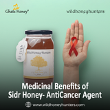15.Medicinal Benefits of Sidr Honey AntiCancer Agent