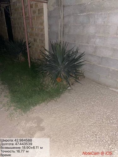 IMG 20260420 021744 1.jpg