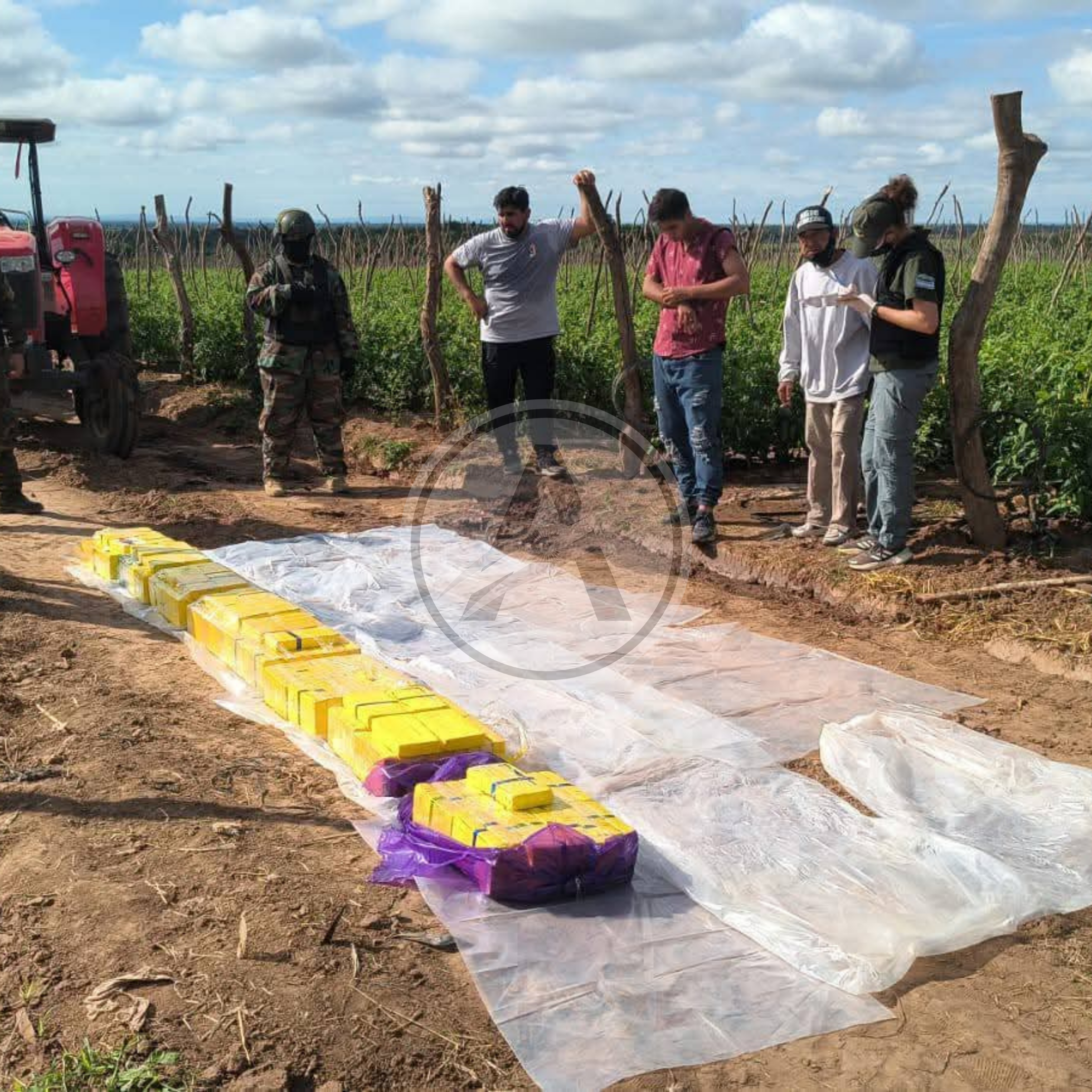 🔴 #NARCOTRÁFICO | MÚLTIPLES ALLANAMIENTOS EN COLONIA SANTA ROSA