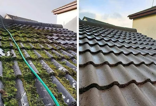 Commercial Cleaners Christchurch | Exterior house Cleaning Christchurch   ||.jpg