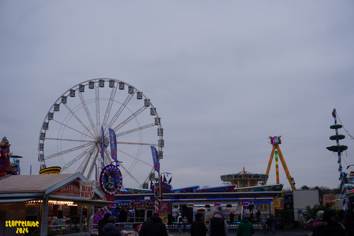 DSC09203 Watermarked.jpg