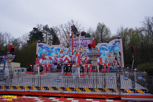 DSC09223 Watermarked.jpg