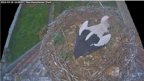MWSnap859.jpg