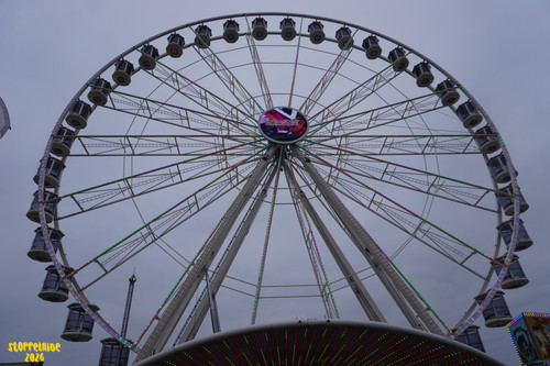 DSC09242 Watermarked.jpg