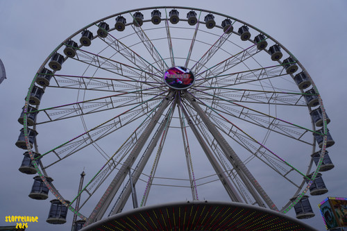 DSC09243 Watermarked.jpg