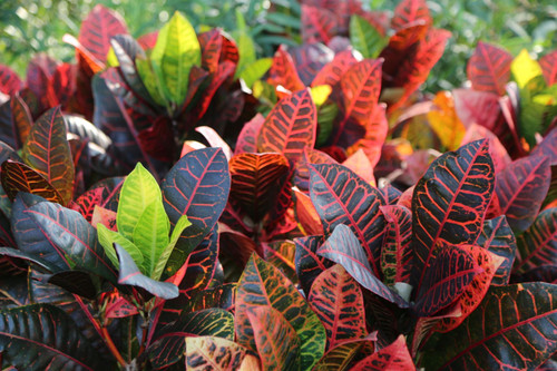 GiNP9ArgaOmIjfpIlOQrrvlsA0 QGPaA0byBGkTIxFAR837mKJkIUQLJVRQm5sy AQwFls VXJD45ImZn9otCIFC 08WqihvB5NU.jpg