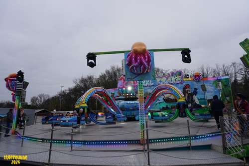 DSC09249 Watermarked.jpg