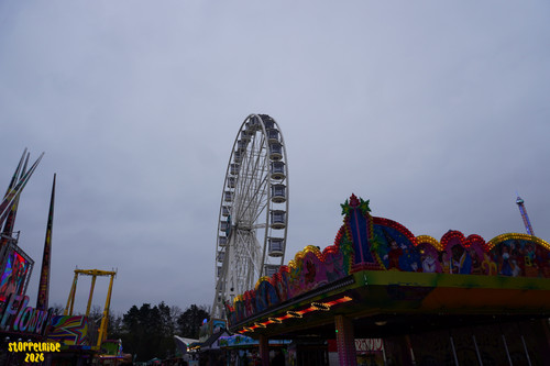 DSC09252 Watermarked.jpg