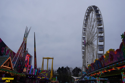 DSC09253 Watermarked.jpg