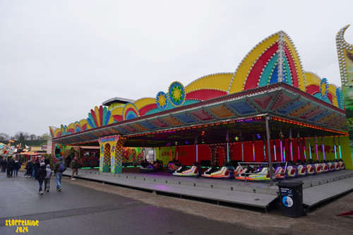 DSC09261 Watermarked.jpg