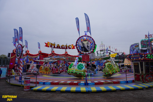 DSC09170 Watermarked.jpg