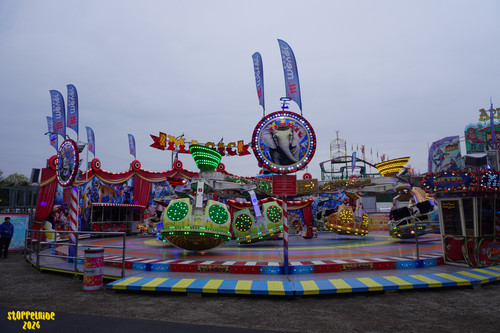 DSC09171 Watermarked.jpg