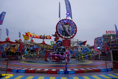 DSC09174 Watermarked.jpg