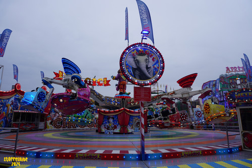 DSC09176 Watermarked.jpg