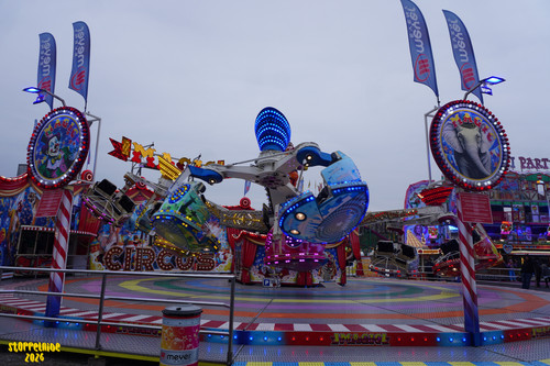 DSC09188 Watermarked.jpg