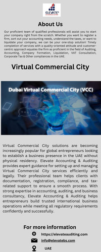 Virtual Commercial City Services by Elevate Accounting & Auditing.jpg