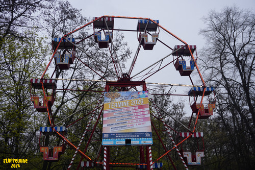 DSC09294 Watermarked.jpg