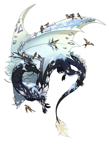 IMG 1807.png