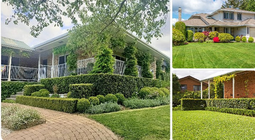 Professional Garden Clean-Up Services.jpg